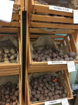 Seed and bulbs