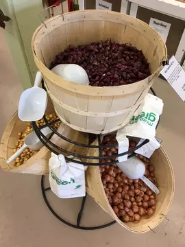 Seed and bulbs