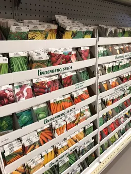 Seed and bulbs
