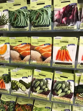 Seed and bulbs