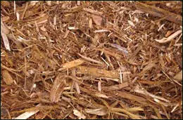 Mulch